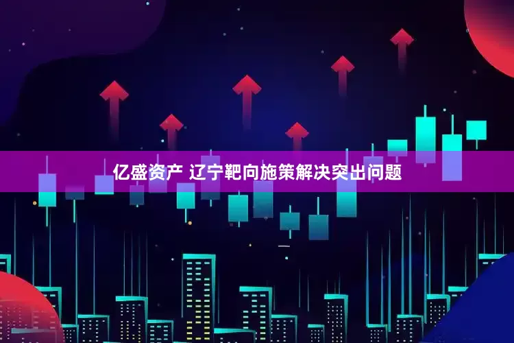 亿盛资产 辽宁靶向施策解决突出问题