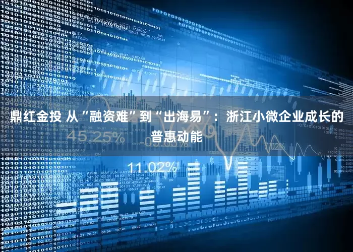 鼎红金投 从“融资难”到“出海易”：浙江小微企业成长的普惠动能