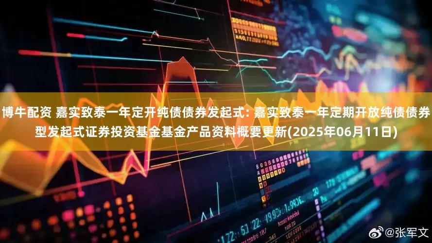 博牛配资 嘉实致泰一年定开纯债债券发起式: 嘉实致泰一年定期开放纯债债券型发起式证券投资基金基金产品资料概要更新(2025年06月11日)
