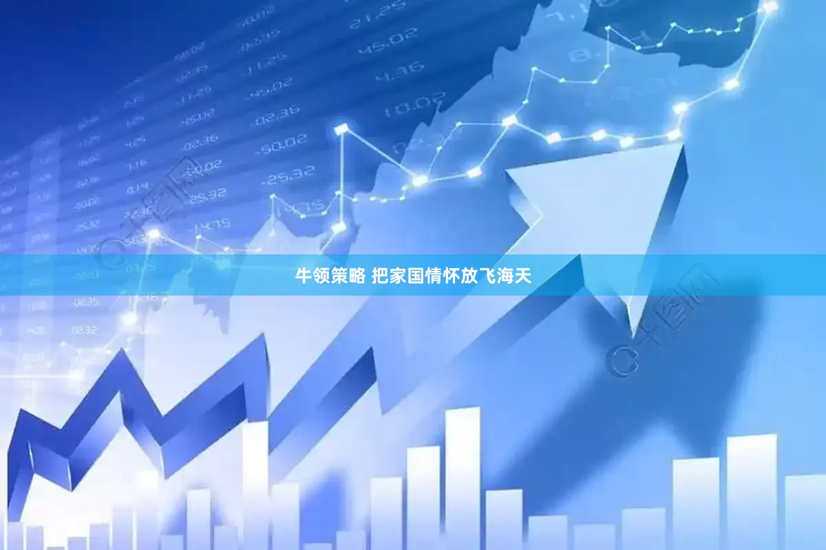 牛领策略 把家国情怀放飞海天