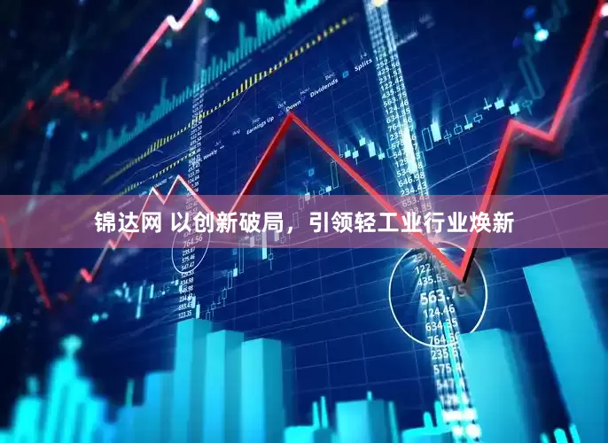 锦达网 以创新破局，引领轻工业行业焕新
