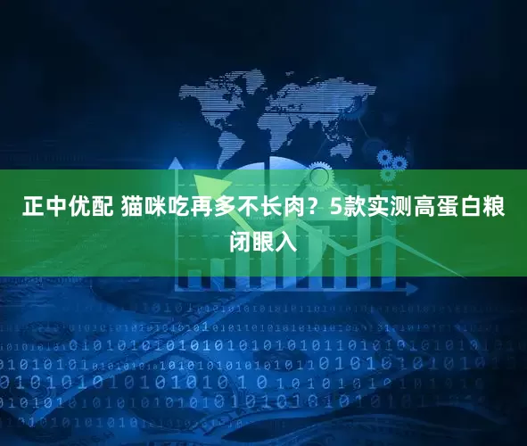 正中优配 猫咪吃再多不长肉？5款实测高蛋白粮闭眼入